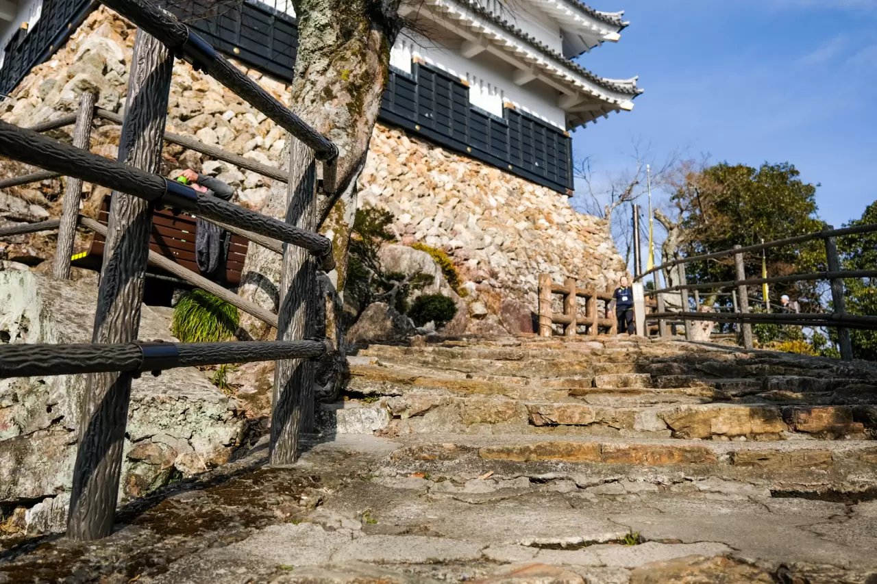 🏯 이치노미야 성터(이치노미야 조세키) 이미지 6